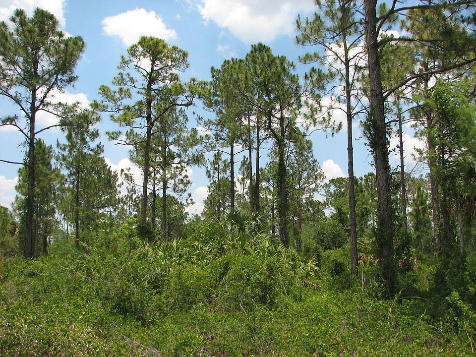 Center of Lot Prime Homesite