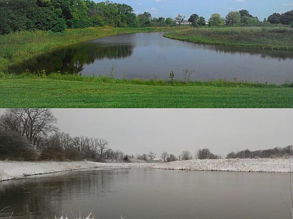 Backyard view of pond