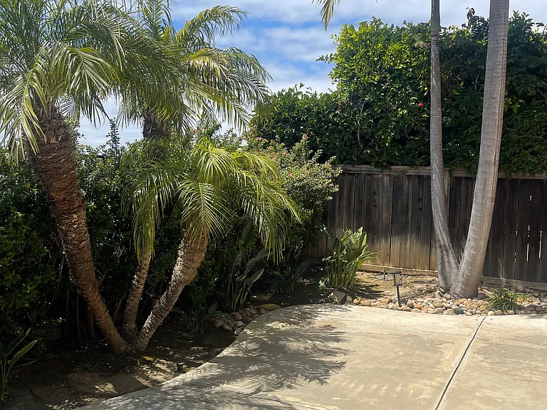 4155 Calle Mar De Ballenas — Photo 3