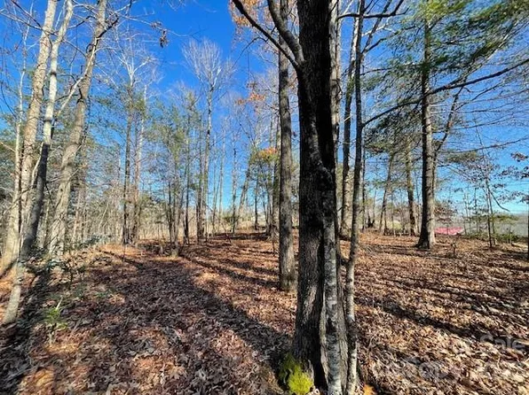 0 Us Highway 221n, Rutherfordton, NC 28139