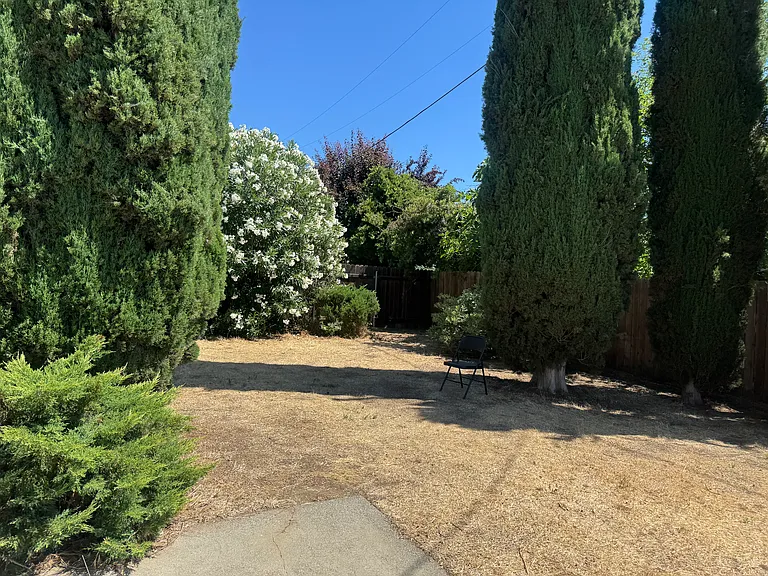 1336 Alder Pl — Photo 12