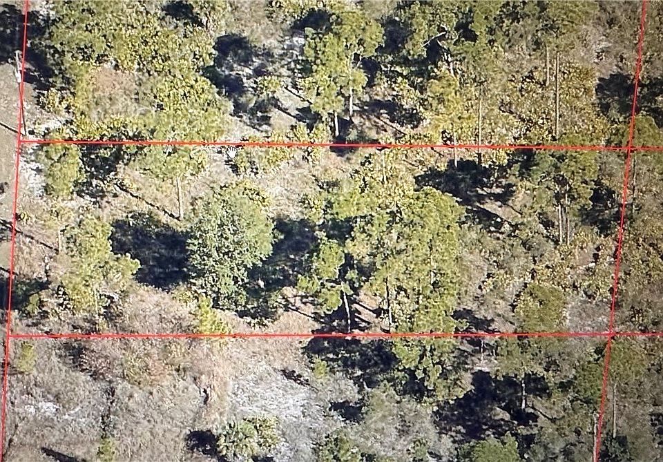 2nd image of 1680 Poinsettia Ave