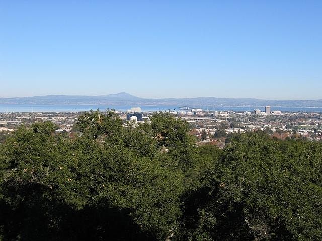 view from living and bedroom