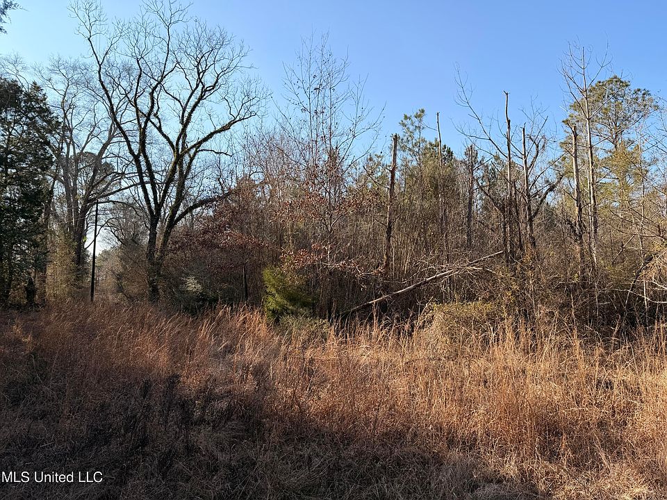 2nd image of State Highway 28