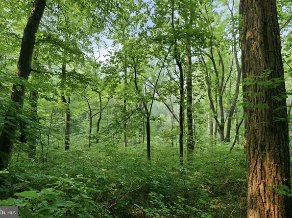 Gooney Manor Loop, Bentonville, VA 22610