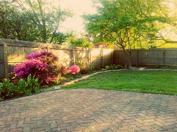 Backyard Patio (Spring 2017)