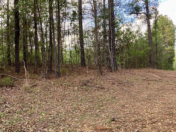 3rd image of 42 County Road 584 #42
