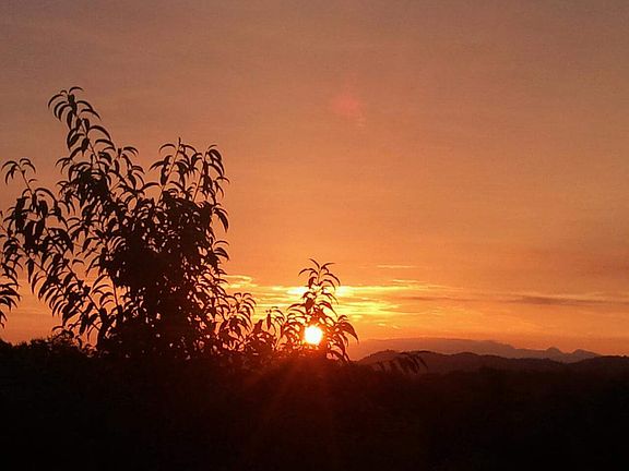 Morning view from back deck