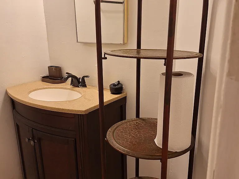 Bathroom sink and shelf