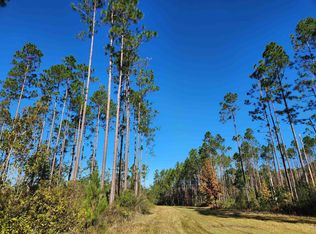 LOT 44 SW Ontario Rd, Greenville, FL 32331