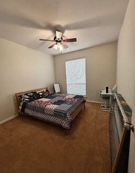 2504 Hammock Lake Dr — Photo 17