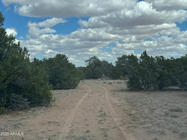 Lot 131 Elk Valley Ranch -- #131, St Johns, AZ 85936