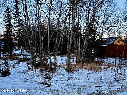 3rd image of 3130 N Arctic Fox Dr