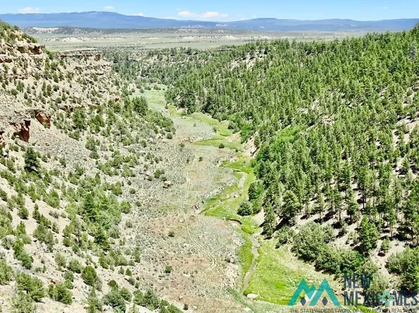 955 County Road 303, Cebolla, NM 87518