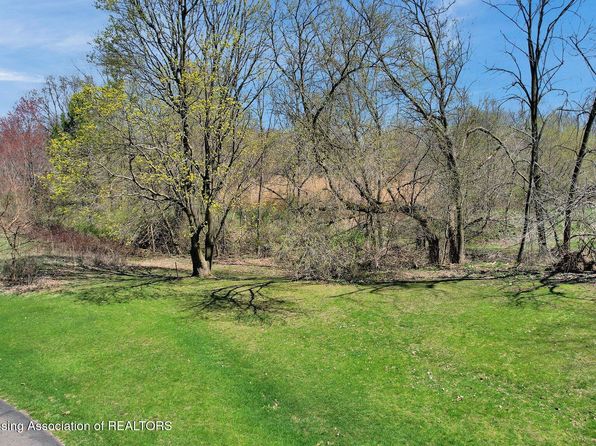 0 E Jefferson St, Dimondale, MI 48821