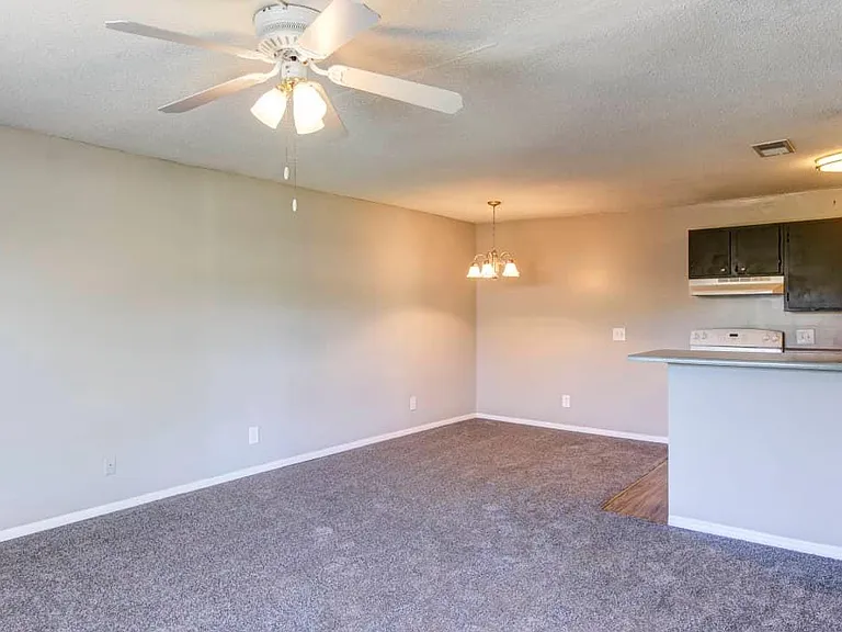 4747 Lambs Rd — Photo 5