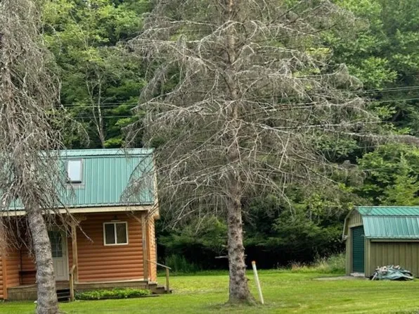 2582 Red Mill Rd #1, Smethport, PA 16749