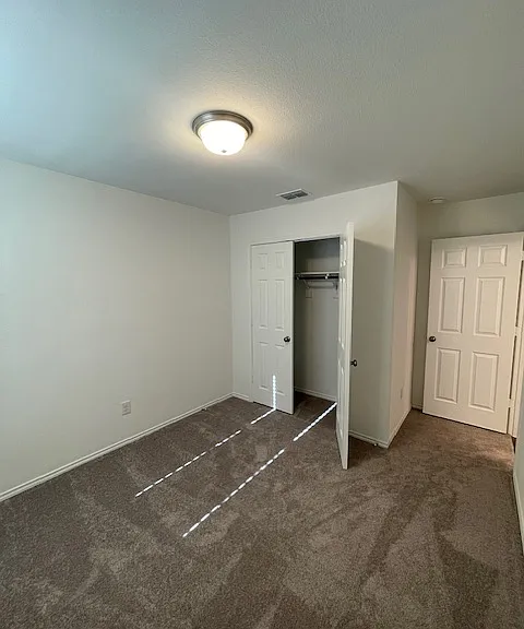 1005 Clear Dusk Ln — Photo 15