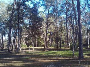 113 Old Spanish Bluff Rd, East Palatka, FL 32131