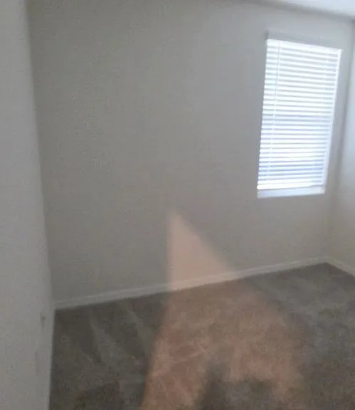 3916 Giorgio Dr — Photo 16