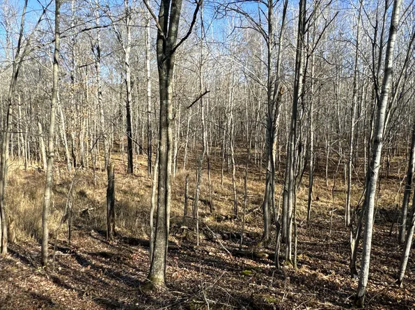 X Barrett Trl, Trego, WI 54888