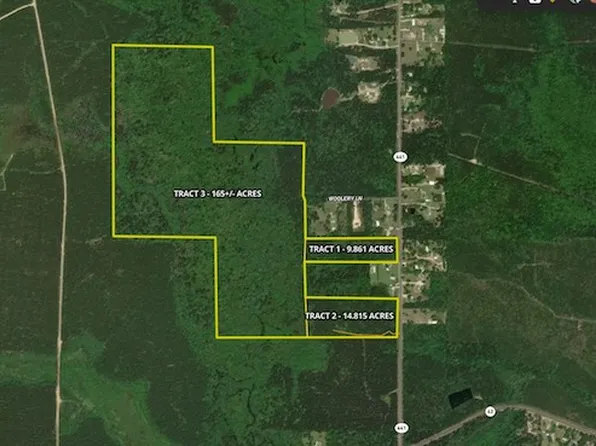 Highway 441 Lot Wp001, Holden, LA 70744
