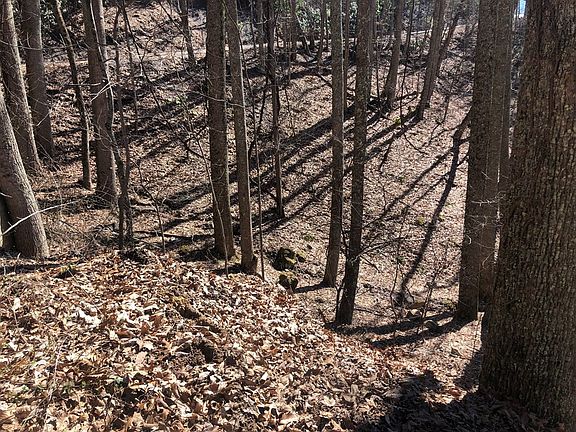 4th image of LOT 13 Alpine Dr
