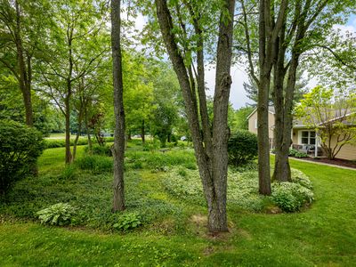 9177 Horseshoe Bnd, Dexter, MI, 48130