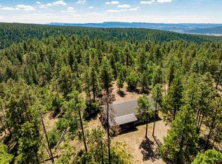 802 Puma Pl, Pagosa Springs, CO 81147