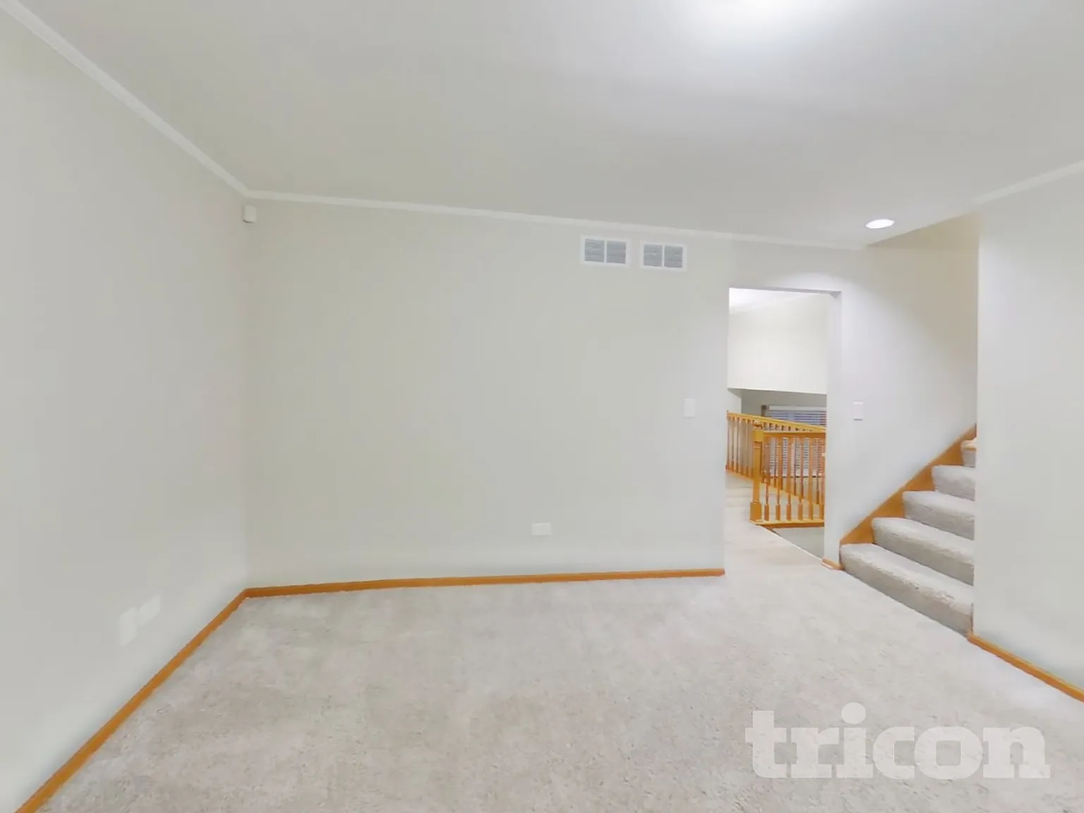 1012 N Cedar Rd New Lenox IL — Photo 4