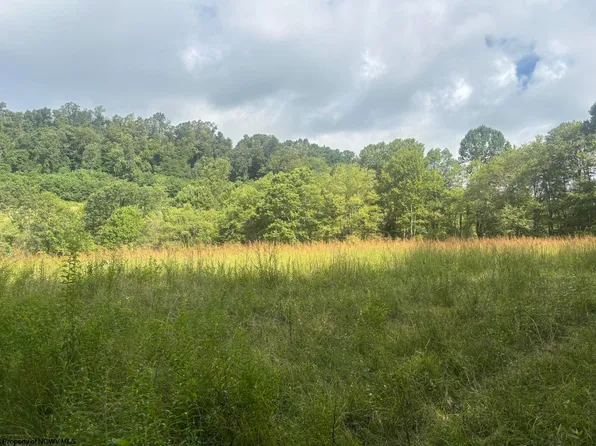 Fill Hollow Rd, Tunnelton, WV 26444
