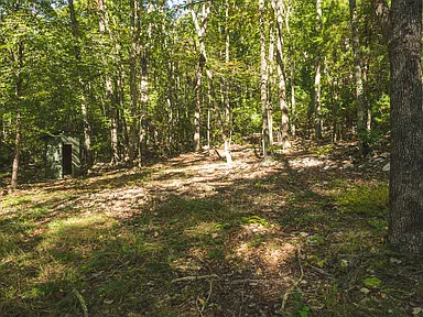 Property photo 28