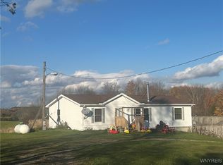 4560 Scrabble Hill Rd, Collins, NY 14034