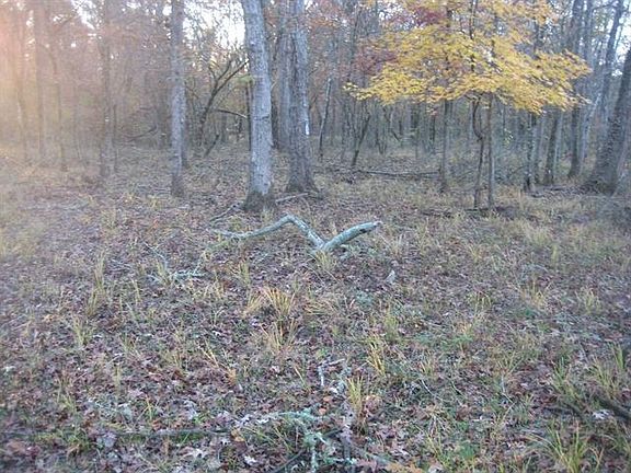 5th image of 0 Fm 839 N