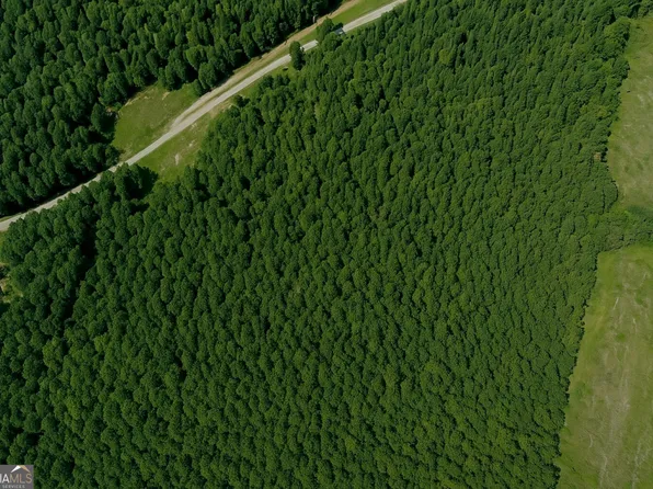 4488 Victory Rd, Franklin, GA 30217