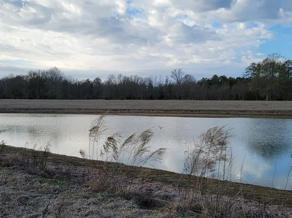 1033 Summit Dr SW, Bogue Chitto, MS 39629