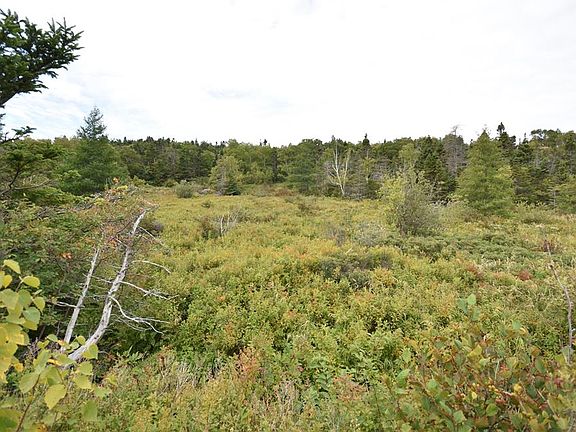 2nd image of 308-310 Anchorage Road