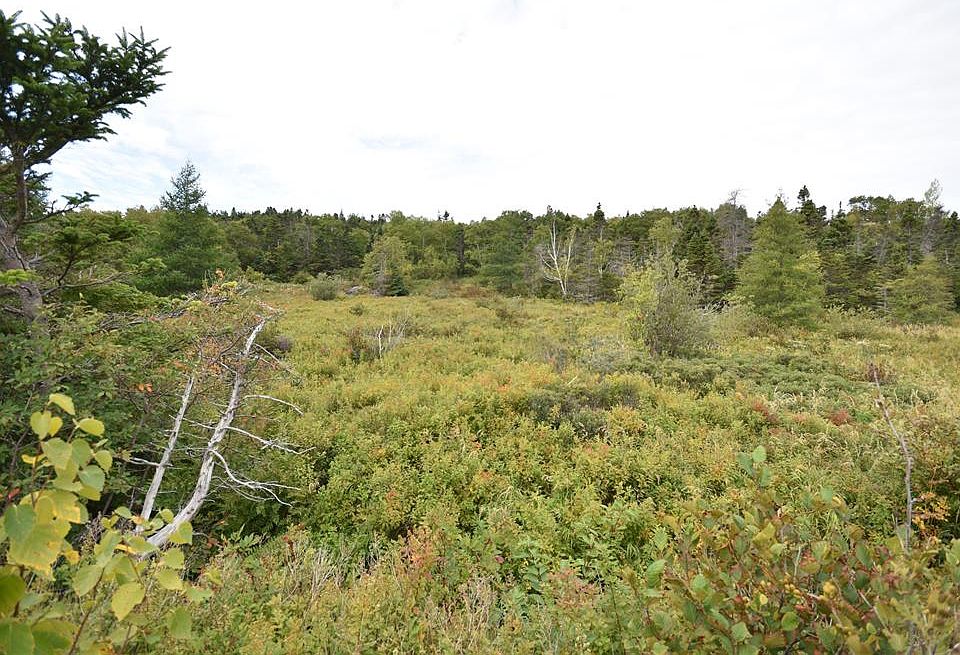 1st image of 308-310 Anchorage Road