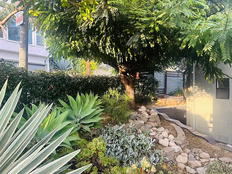 Front yard