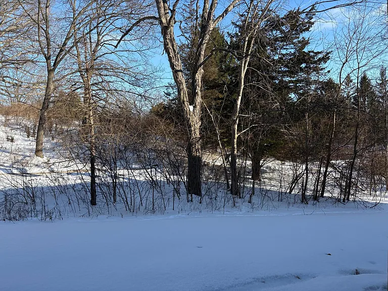 1005 E Duncan St #1D — Photo 16