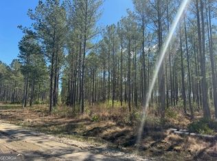 TRACT 85 Bertran Trl, Waycross, GA 31503