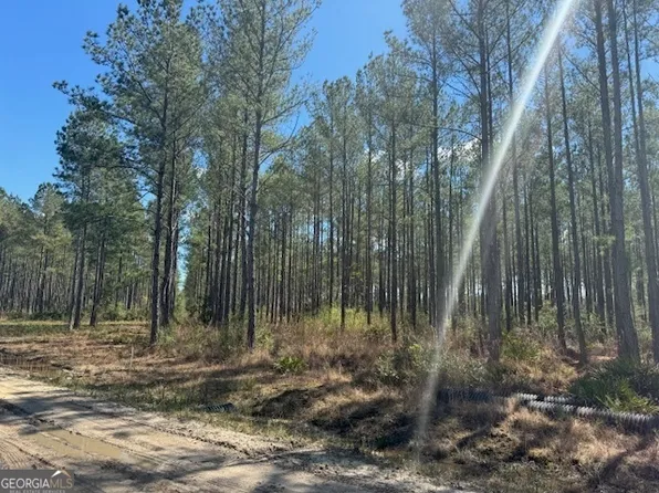 TRACT 85 Bertran Trl, Waycross, GA 31503