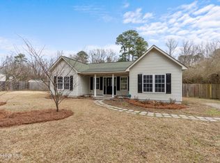 42 S Washington Dr, Willard, NC 28478