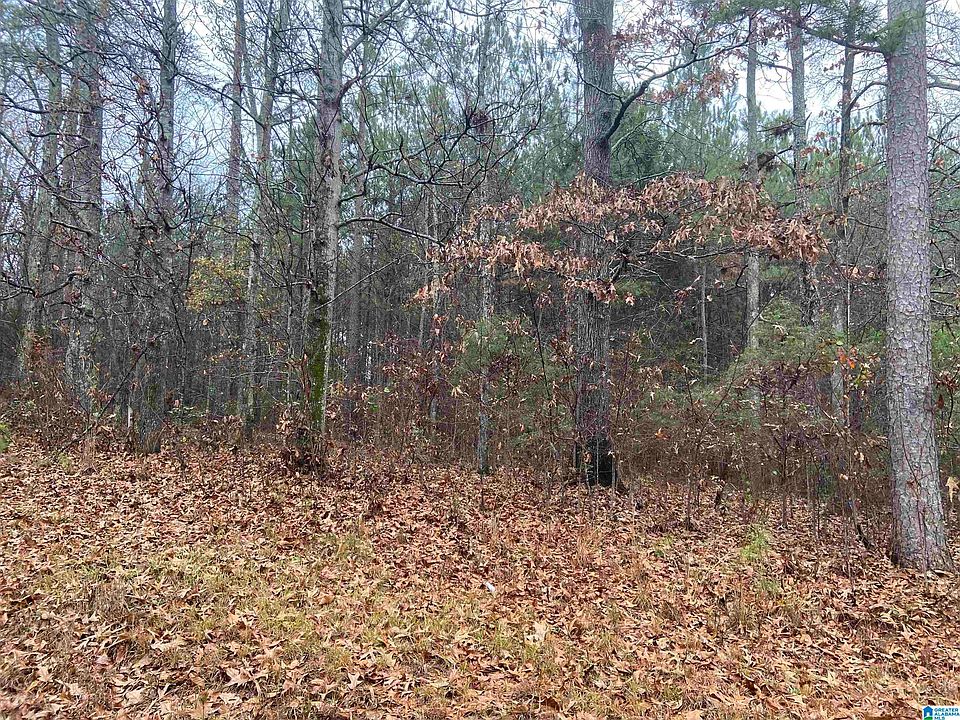 2nd image of 1084 Loop Rd #0