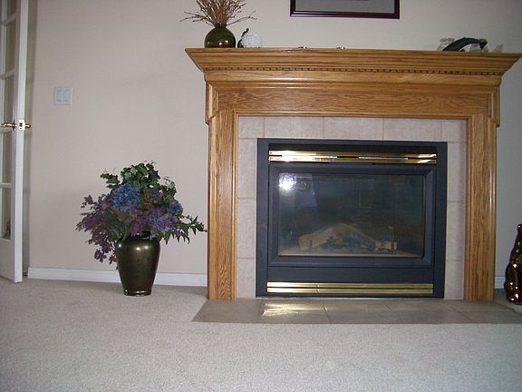 Gas fireplace