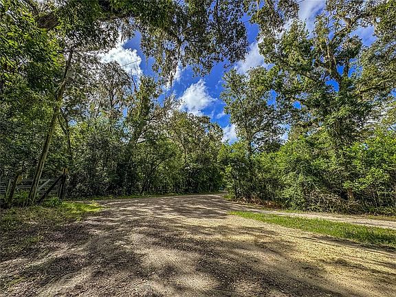 4th image of OLD HUNTER ROAD