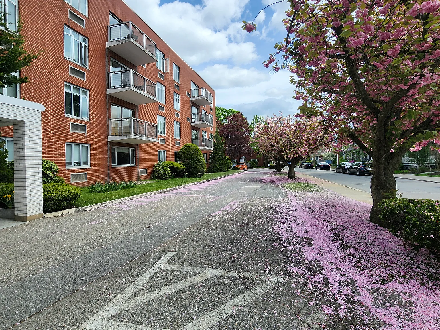 Vernon Towers — Photo 2