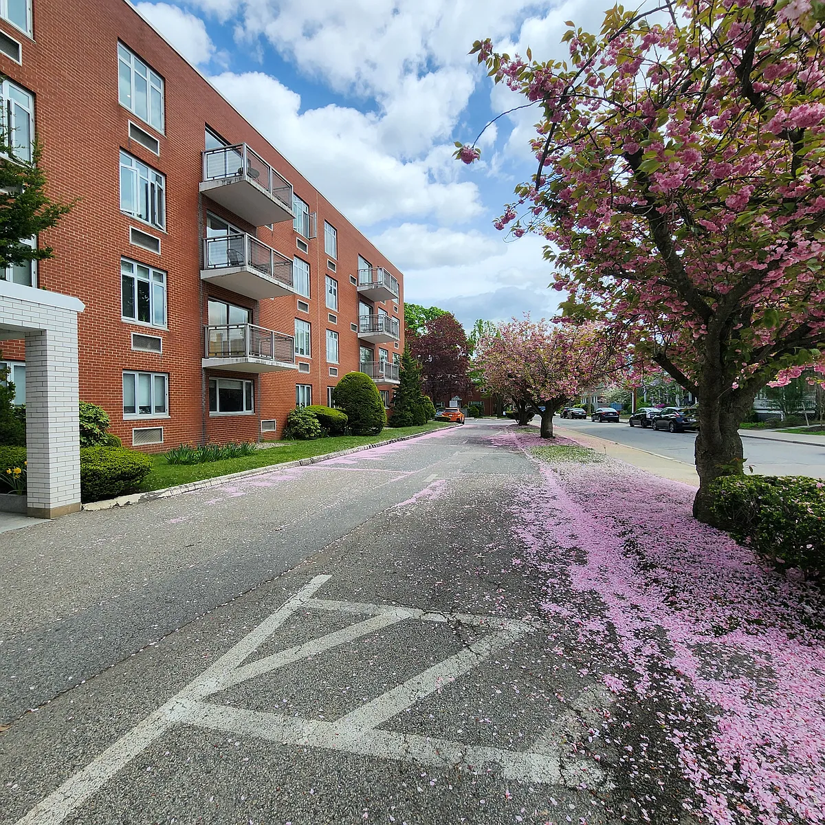 Building Photo - Vernon Towers