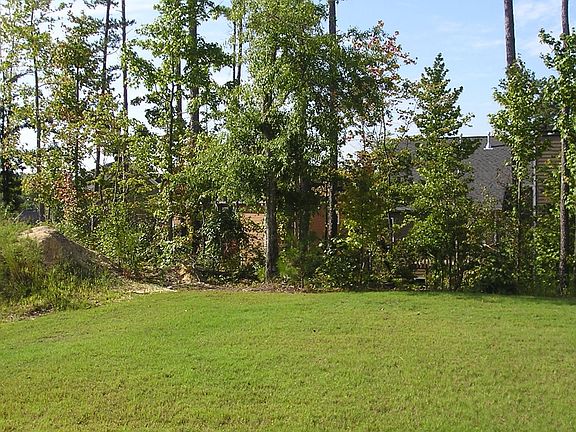 Wonderful level backyard