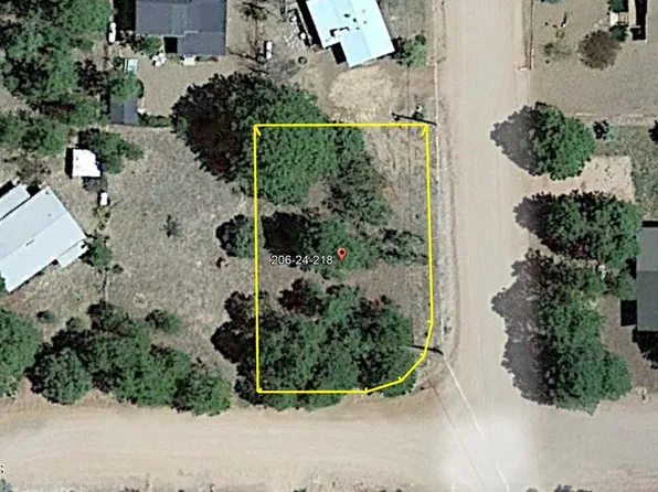 2869 Wahoo Road #218, Overgaard, AZ 85933